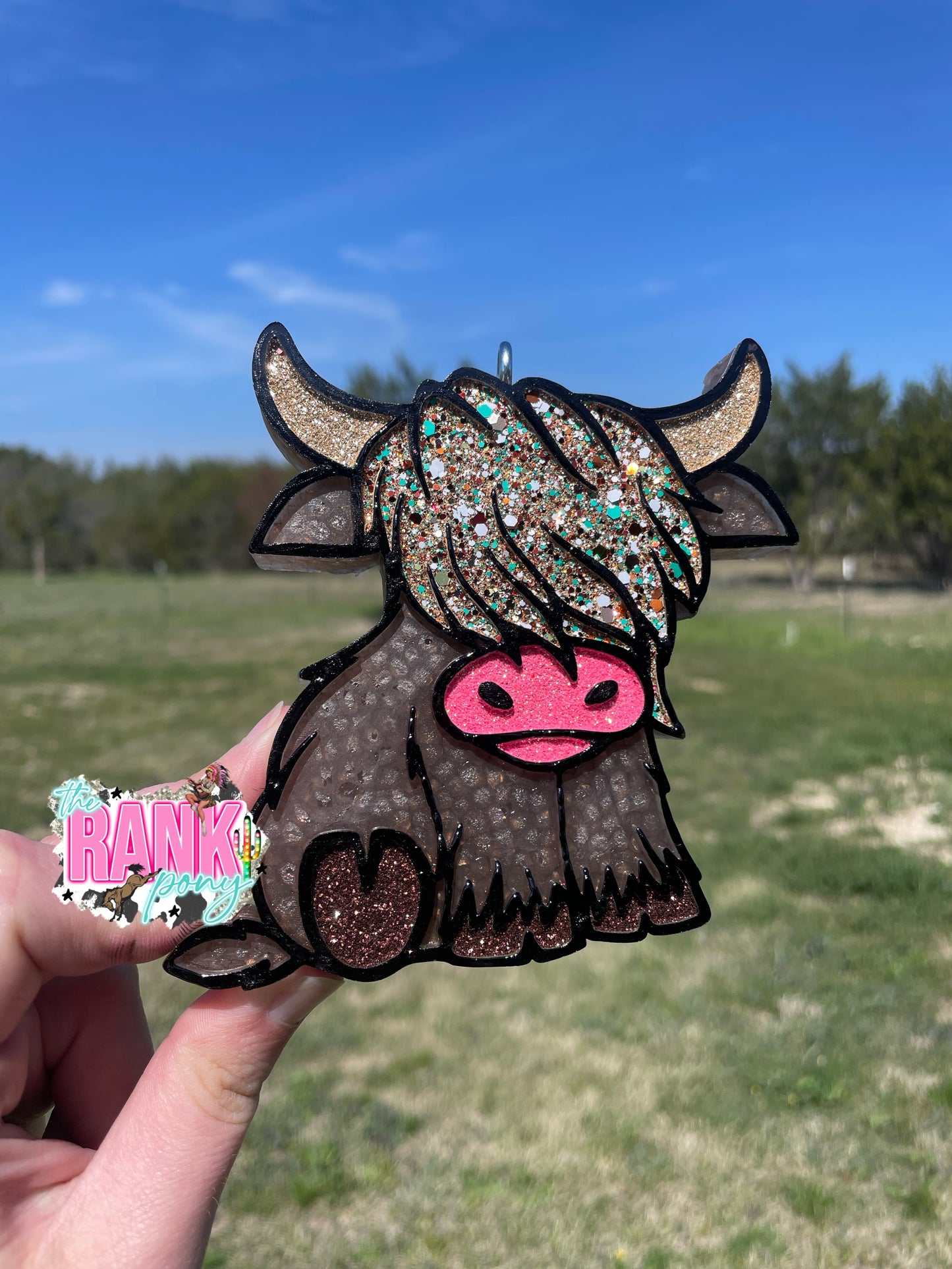 Highland Cow