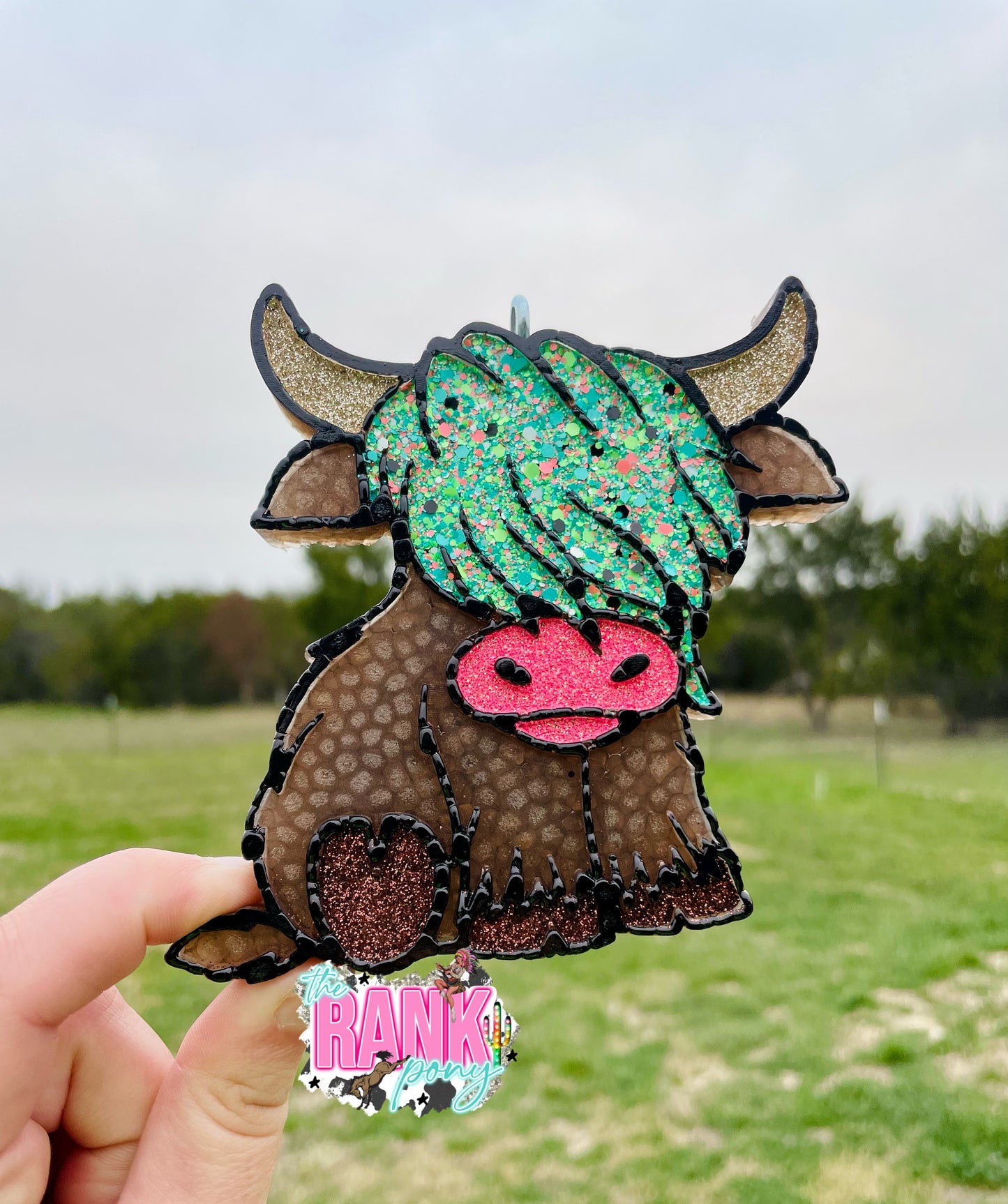 Highland Cow