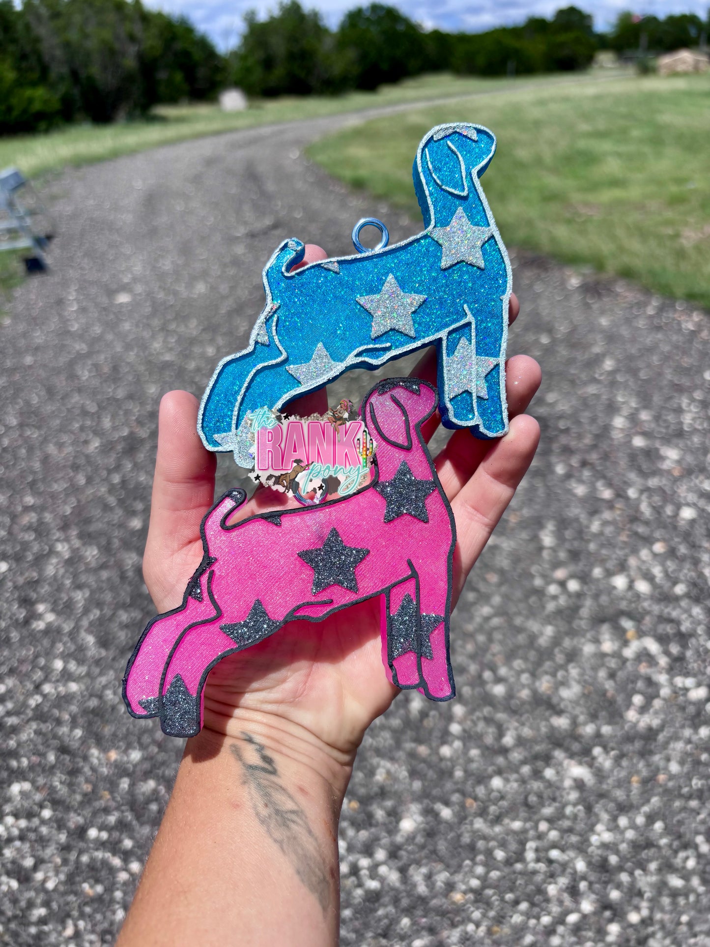 Stars Show Goat