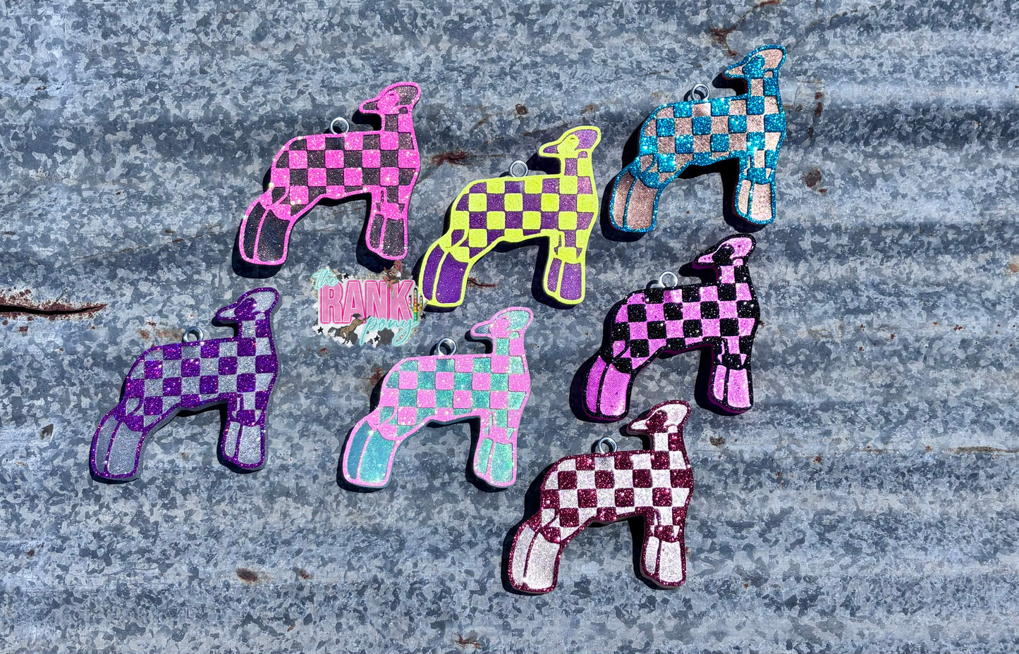 Checkered Show Lamb
