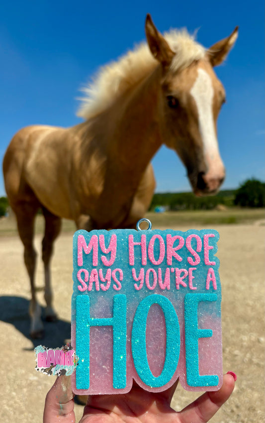 My Horse Says You’re A Hoe
