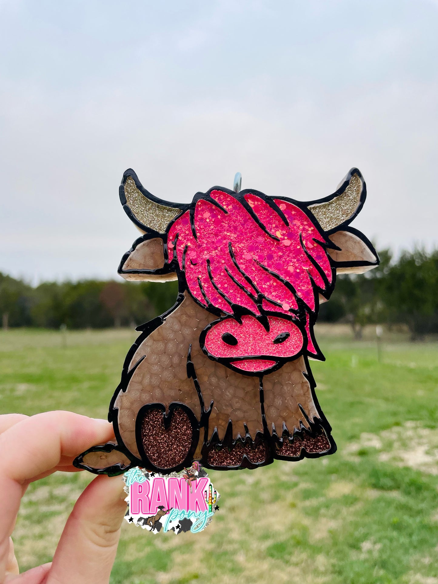 Highland Cow