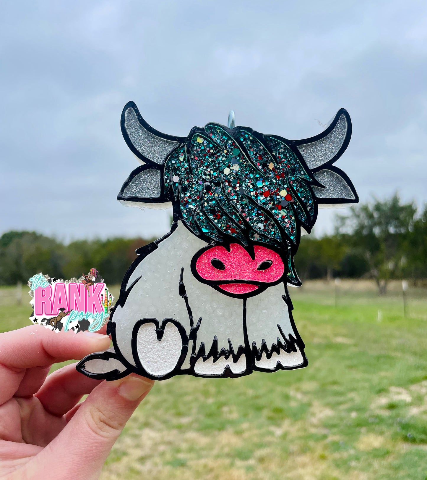 Highland Cow