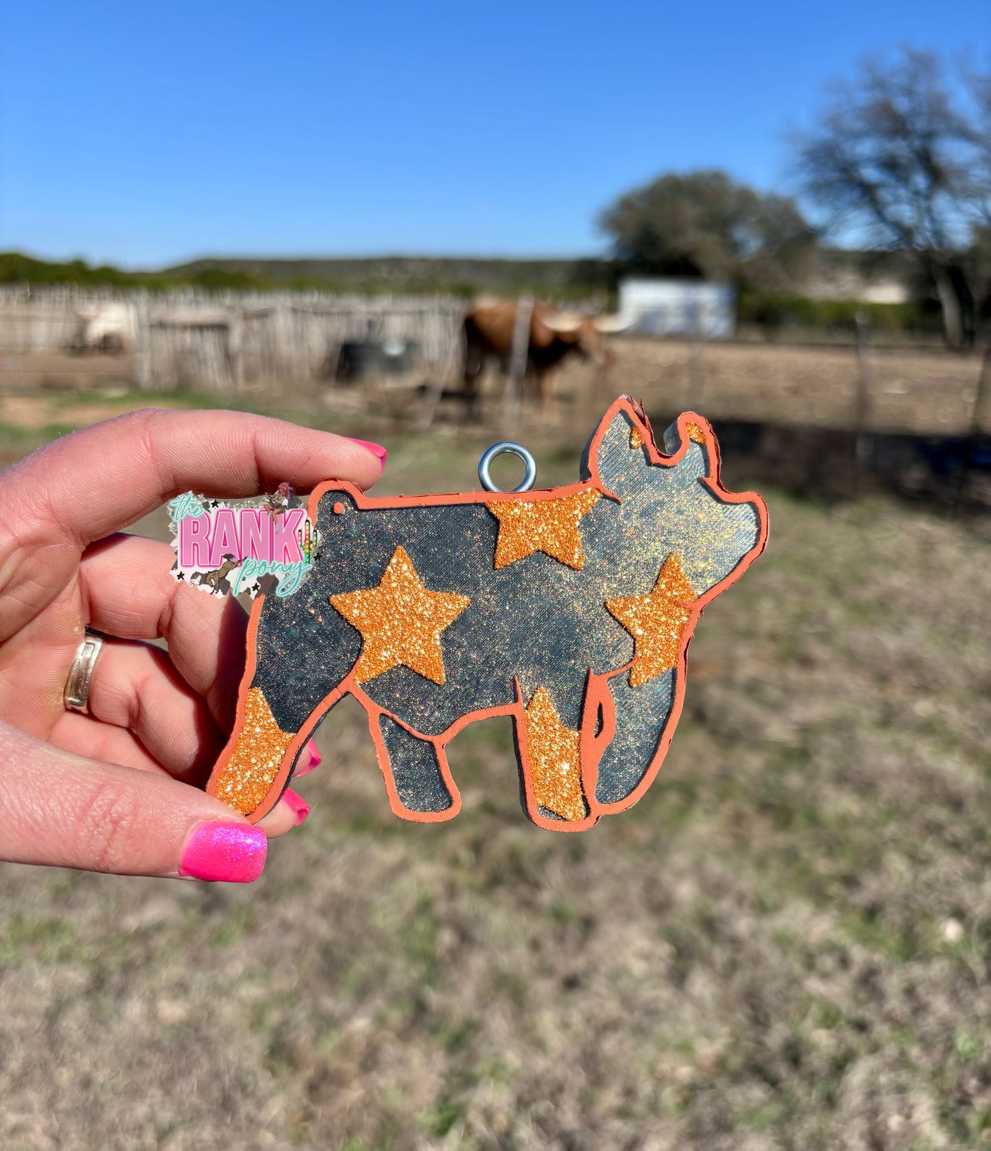 Stars Show Pig *Punchy Princess*