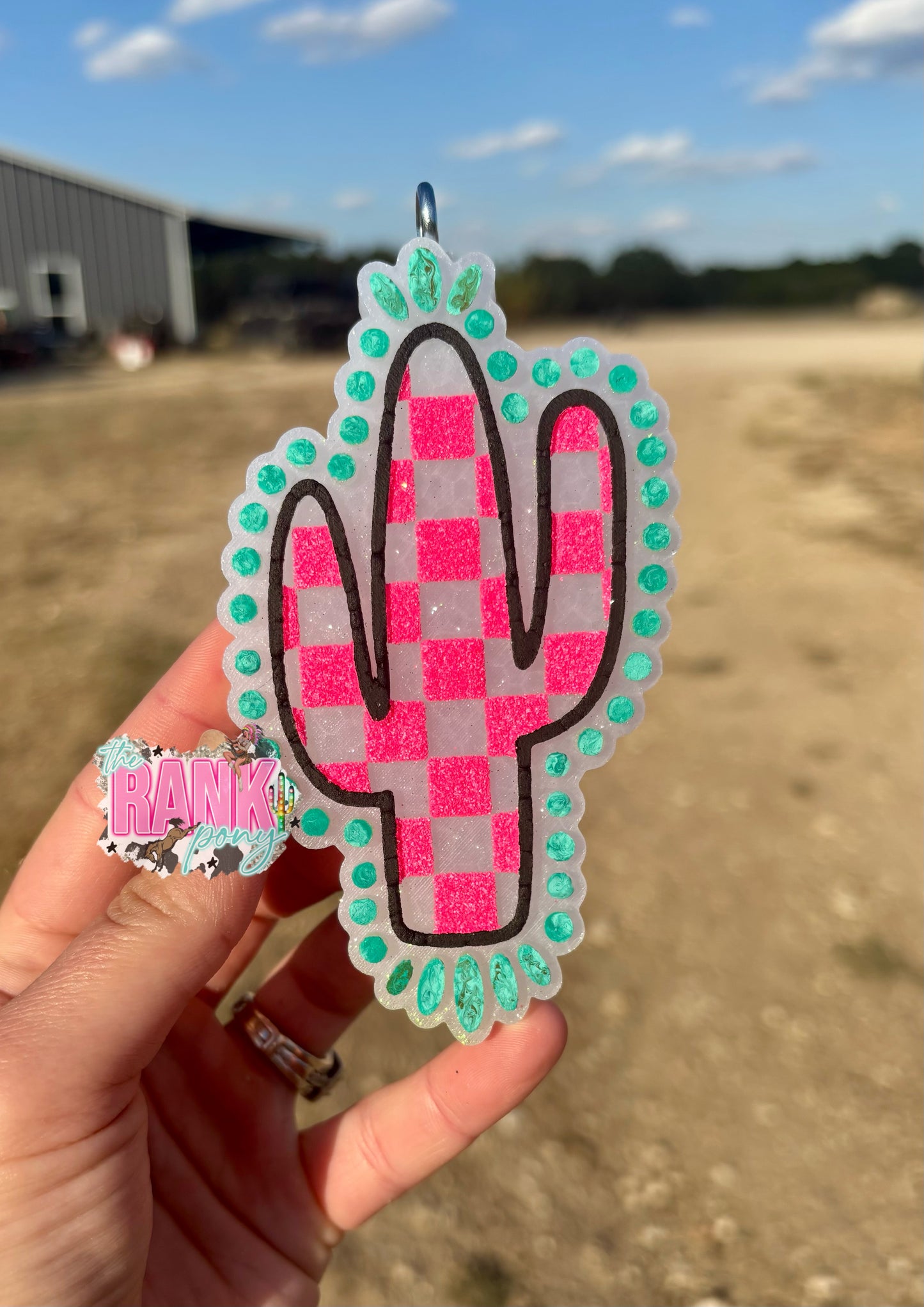 Checkered Jewelry Cactus