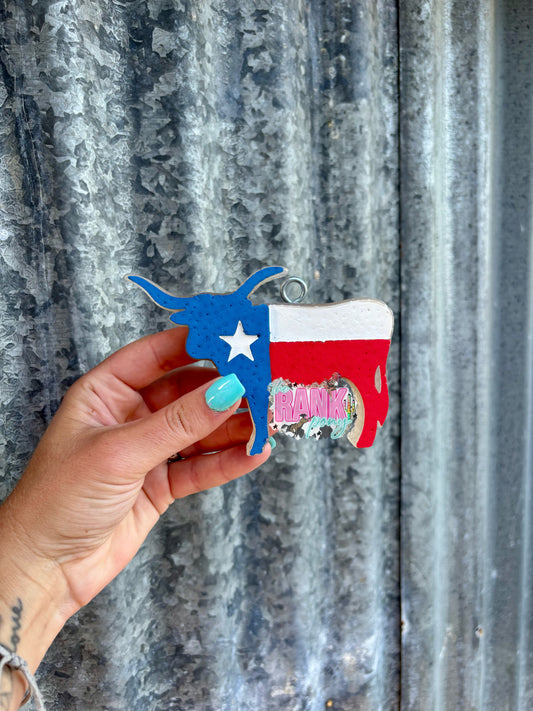 Texas Flag Longhorn