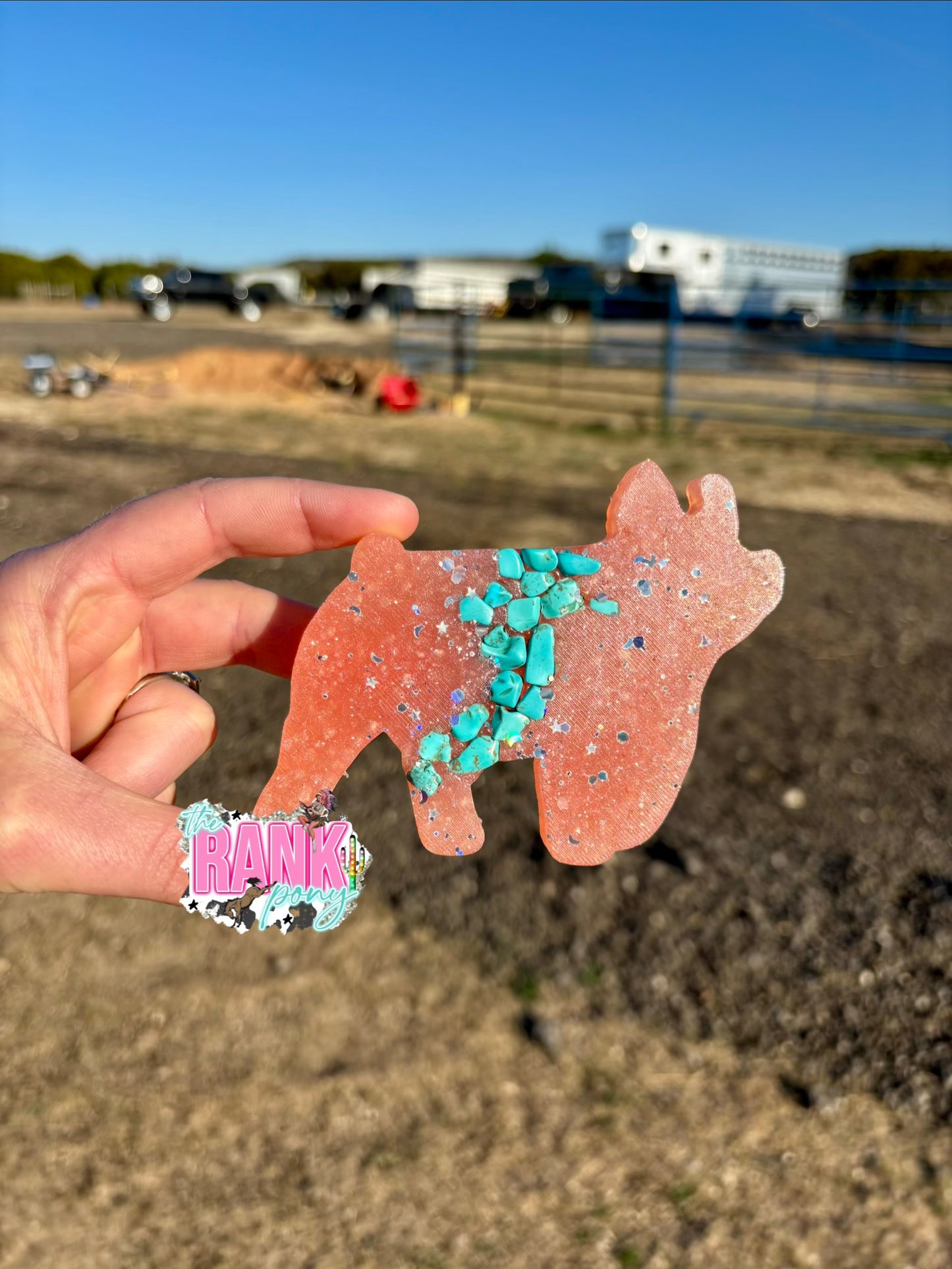 Plain Show Pig *Strawberry Leather*