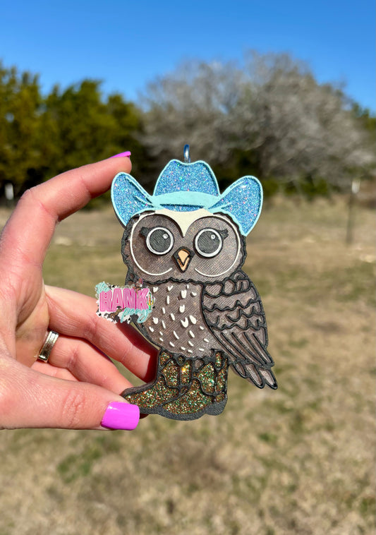 Cowboy Owl