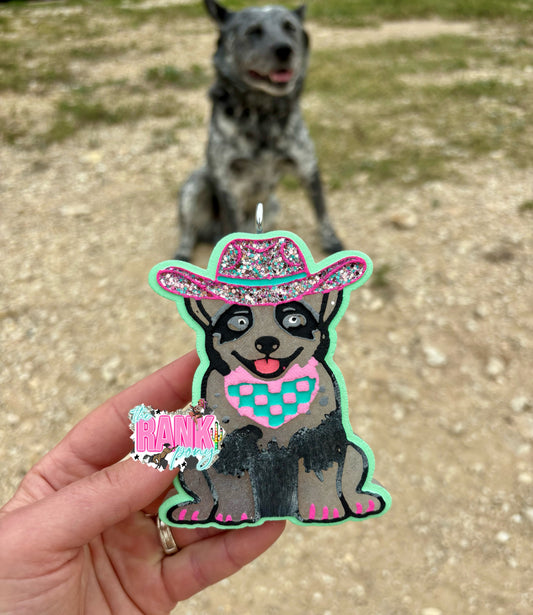 Cutie Heeler Pup