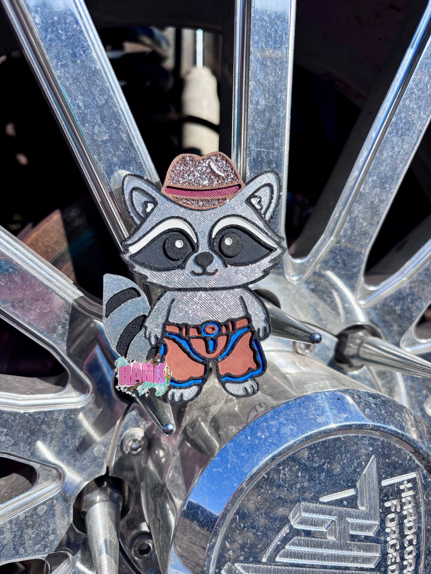 Raccoon Cowboy