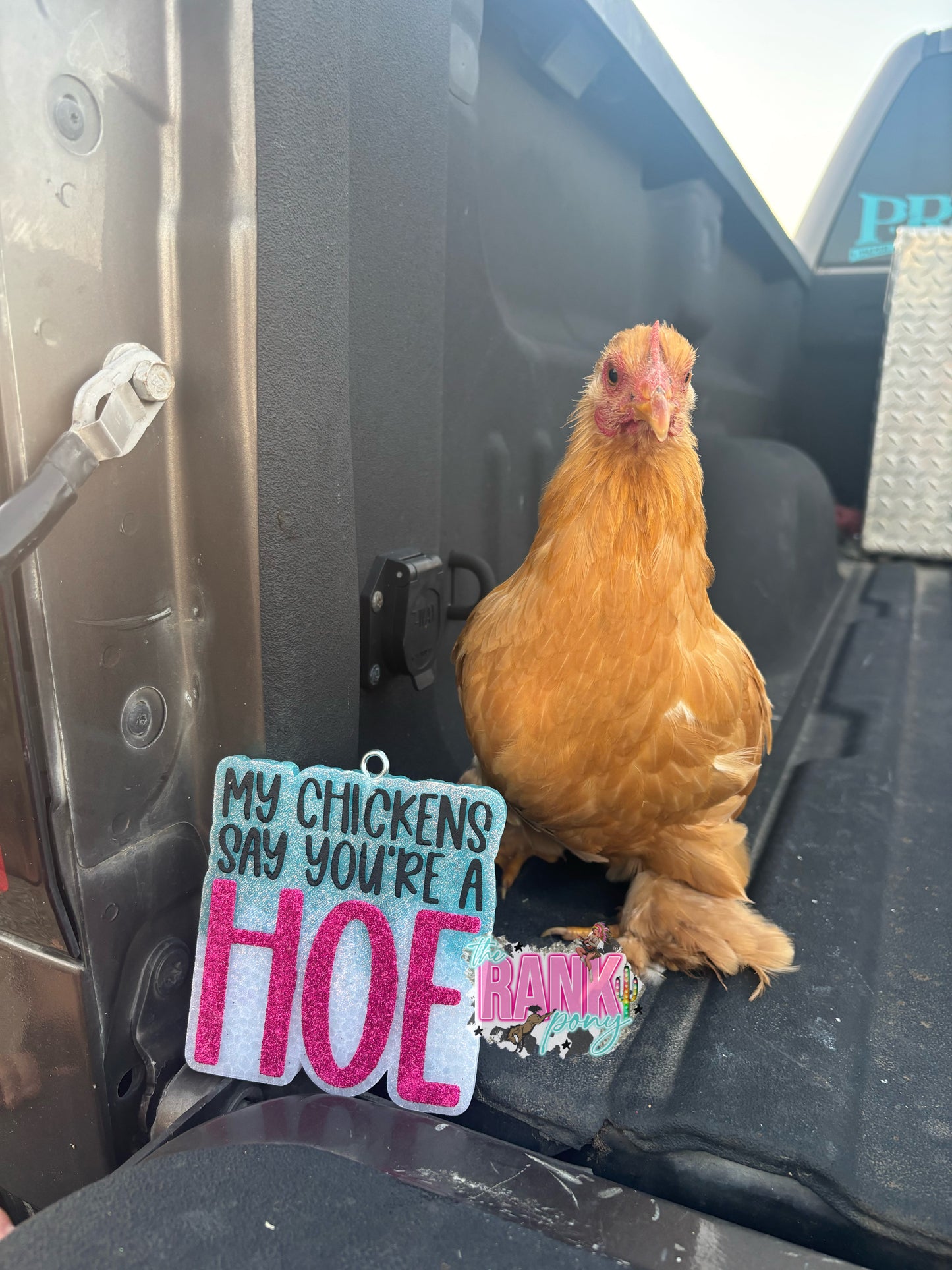 My Chickens Say You’re A Hoe